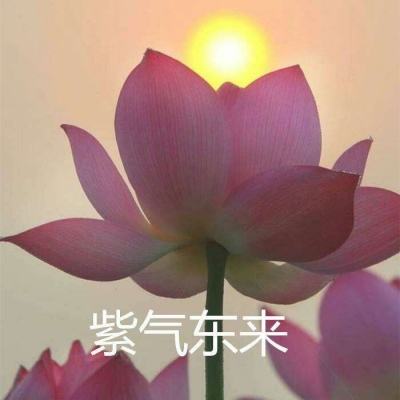 龙城天下手游下载